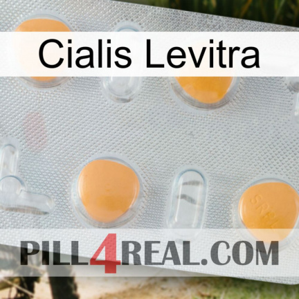 Cialis Levitra 24